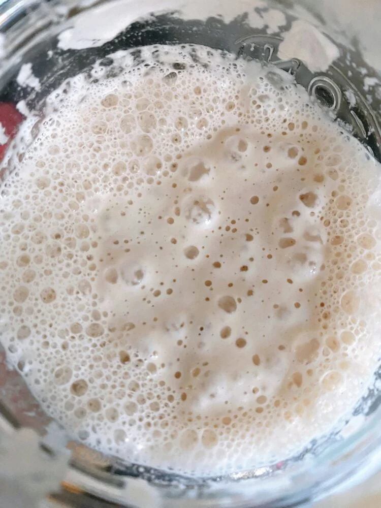 Sourdough Starter: How to Make, Feed, and Use Your Own Starter for Perfect Bread Every Time