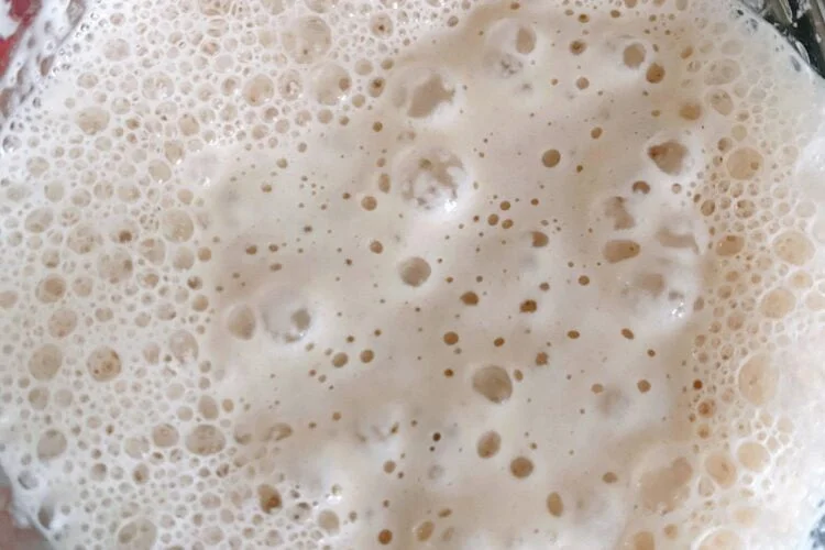 bubbly sourdough starter