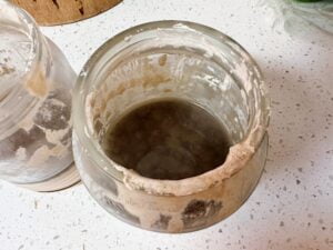 3 Reasons Your Starter Is Not Doubling - SourDoughMama