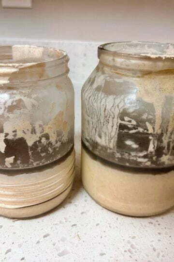 reviving sourdough starter