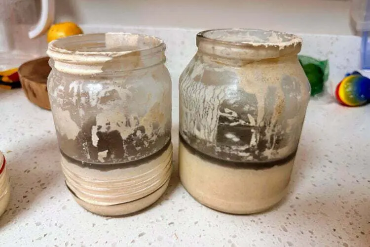 reviving sourdough starter