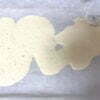 drying sourdough starter