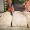 sourdough levain