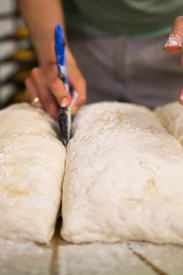 sourdough levain