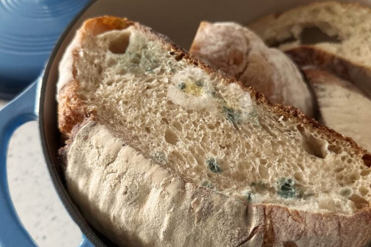 how to store fresh sourdough bread