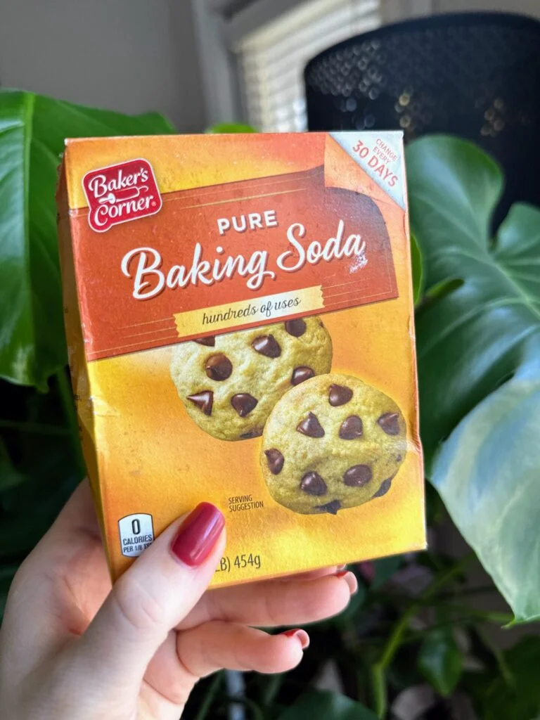 baking soda as leaven