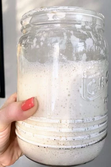 active sourdough starter